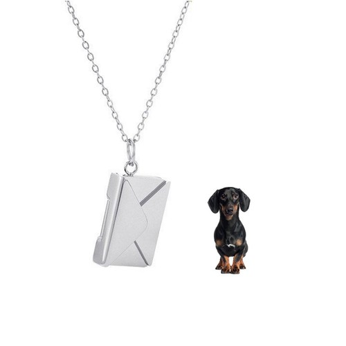 Dachshund dog black pet - black, silver