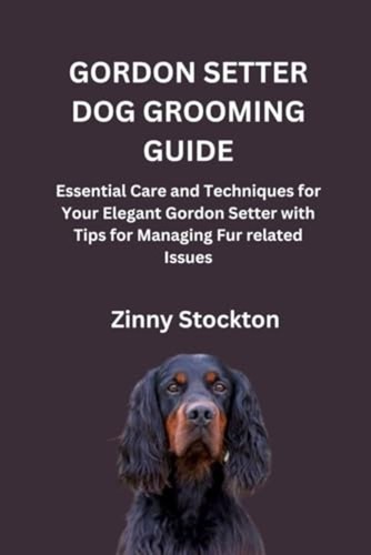 Gordon setter dog grooming - dog,