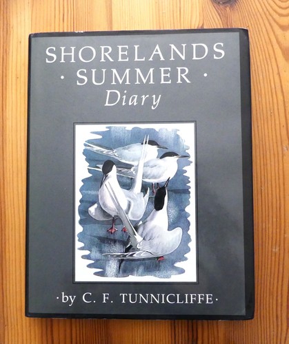 Shorelands summer diary c - shorelands,