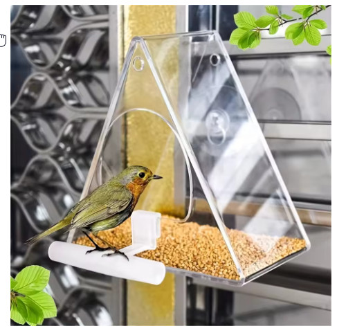 Glass window bird feeder - window,