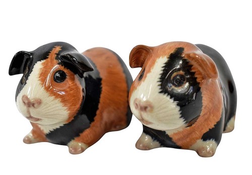 Quail pottery guinea pig - pig, salt