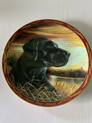 Black labrador plate - black, man's