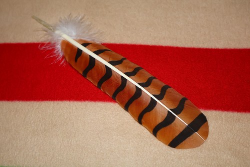 Native american hand painted - native,