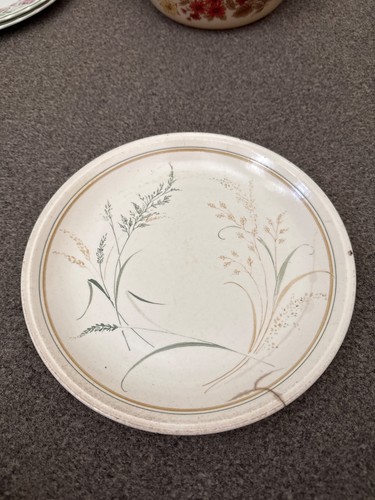 Biltons dinner plate inch - biltons, 9