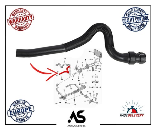 Radiator coolant hose for - coolant,