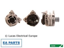 Alternator for california - alternator, vw