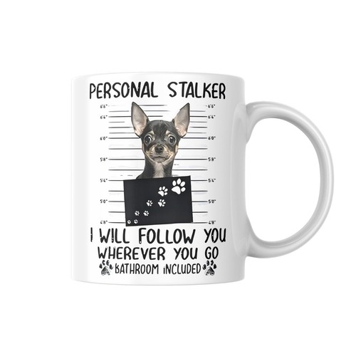 Personal chihuahua stalker - stalker,