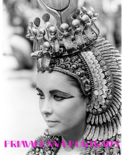 Elizabeth taylor 8x10 lab - 8x10,