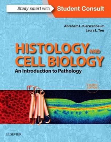 Histology and cell - cell, an