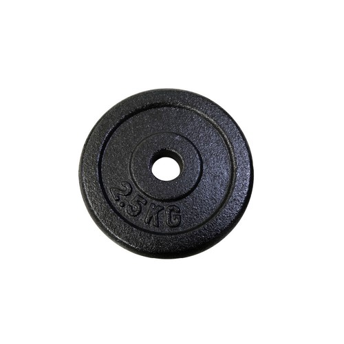 Cast iron weight plates 25kg - iron,