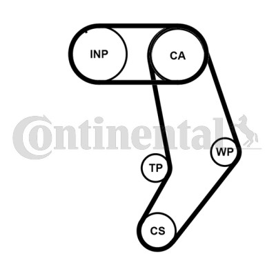 Timing belt set - set, vw