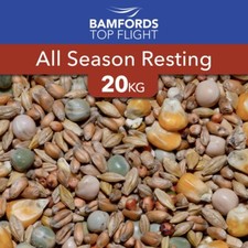 All Seasons Resting Low Energy