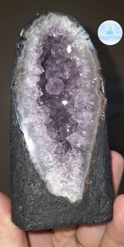 Small amethyst druzy - amethyst, geode