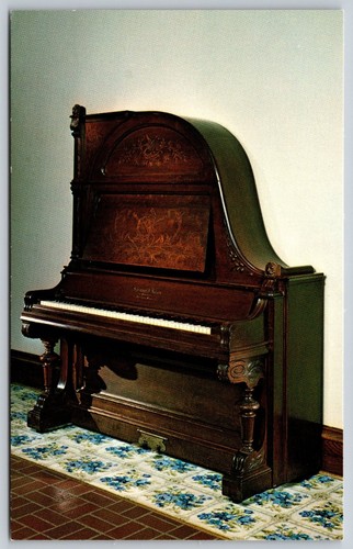Schimmel nelson giraffe - schimmel,