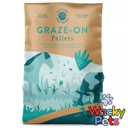 Horse pony food northern crop - pony,