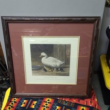 Duck and Ducklings J.F