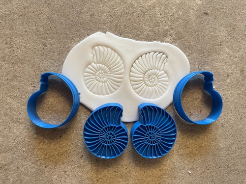 Ammonite clay cutter fossil - ammonite,