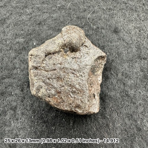 Common chondrite meteorite - h5,