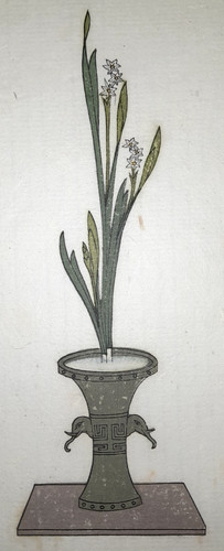 Ikebana narcissus print - narcissus,