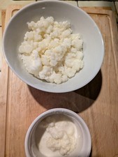 Kefir Grains 20g Live Milk