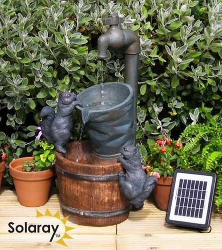 Solar squirrels water - squirrels,