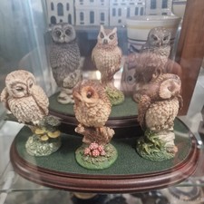 Vintage 6 ROYAL DOULTON Owl