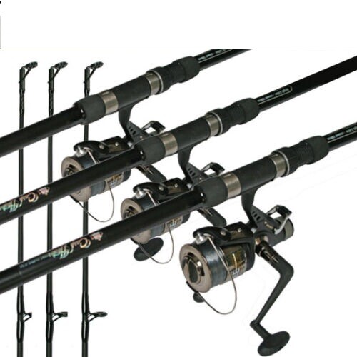 Carp fishing combo - carp, rod