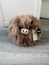 Next Hamish The Highland Cow