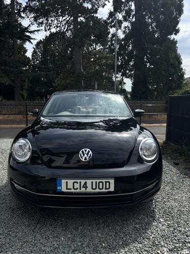 Beetle - vw,