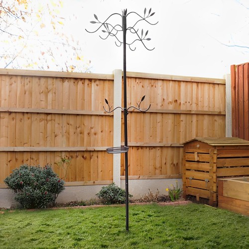 Premium hammertone bird - hammertone,