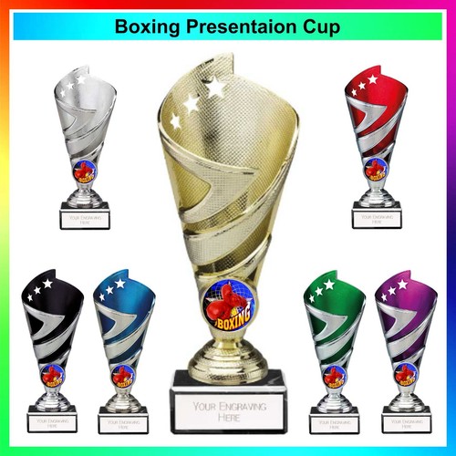 Boxing presentation cup - presentation, /