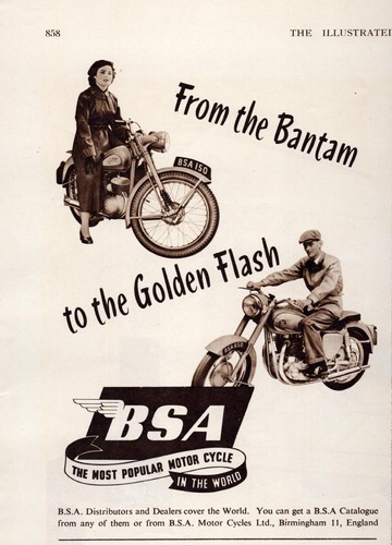 Bsa motorcycles print - bsa,