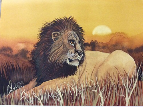 Simba african male lion - simba,