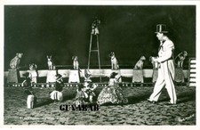 Blackpool tower circus - blackpool, rp