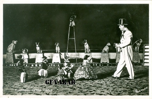Blackpool tower circus - blackpool,