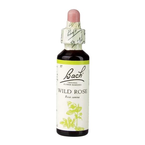 Bach flower remedies wild - flower,