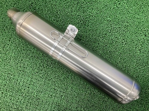 Used bmw f800st - f800st, silencer