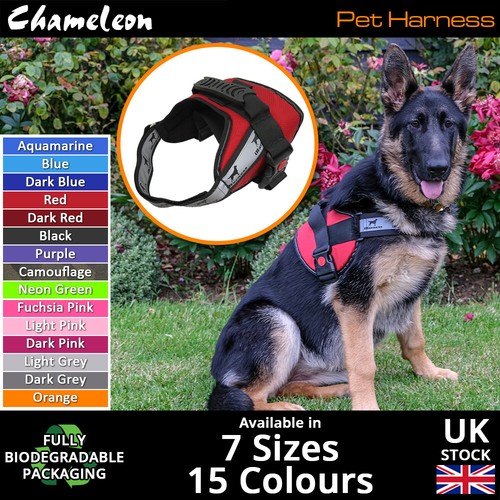 Dog harness puppy non - ,