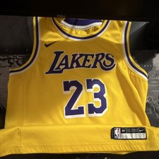 Nike Los Angeles Lakers LeBron