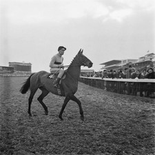 Irish racehorse Arkle during