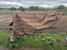 Shires Turnout Rug