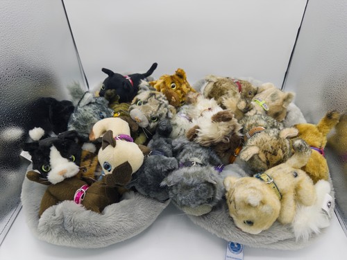 The cat collection - the,