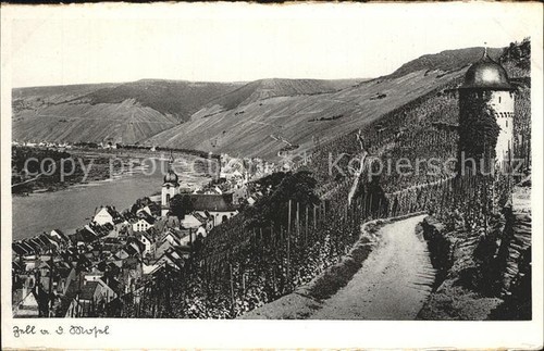Zell moselle panoramic - moselle,