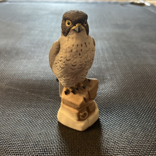 Goebel peregrine falcon - peregrine,
