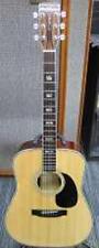 MORRIS W-50 Acoustic Guitar-05