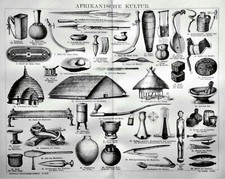 1897 ANTIQUE PRINT: CULTURE OF