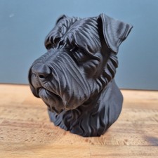 Bouvier des Flandres Bust
