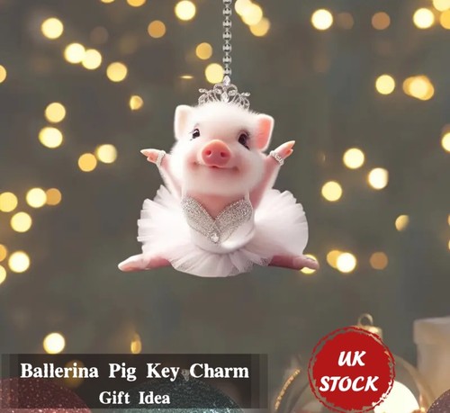 Cute ballet pig acrylic - 2d,