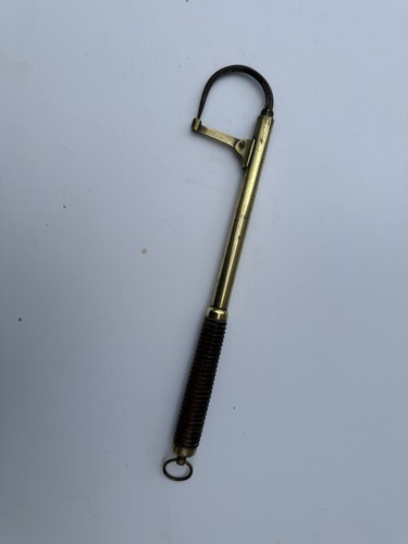 Antique brass salmon - brass,