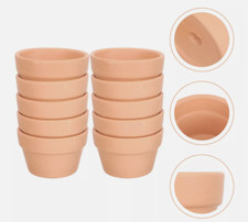  10 Pcs Big Terracotta Flat Basin Live Succulents Plants Indoor Planters